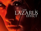 The Lazarus Effect: Trailer 1 - Trailers & Videos - Rotten Tomatoes