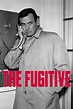 The Fugitive (TV Series 1963-1967) - Posters — The Movie Database (TMDB)