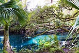 5 Things to Do in Ocala, Florida | 55places