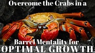 Overcome the Crabs in a Barrel Mentality for Optimal Growth in 2019 ...