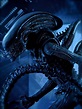 [71+] Alien Movie Wallpapers | WallpaperSafari