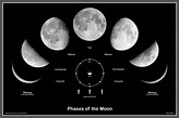 Fases de la Luna ~ Con-CIENCIA