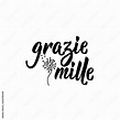 Grazie mille - Thanks so much in Italian. Modern brush calligraphy ...