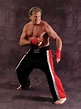 Joe Lewis (martial artist) - Alchetron, the free social encyclopedia