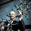 Linus Pauling, American Biochemist - Stock Image - C048/3090 - Science ...