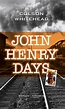 John Henry Days - Bücher - Hanser Literaturverlage