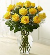 A Dozen Yellow Rose Bouquet - Expressions In Bloom Fine Flowers