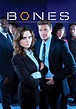 Bones temporada 1 - Ver todos los episodios online