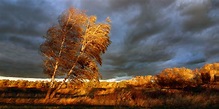 Herbststurm... Foto & Bild | jahreszeiten, herbst, herbststimmung ...
