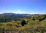 Monte Bello Open Space Preserve - 19480 Bear Creek Rd, Los Gatos, CA 95033