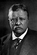Theodore Roosevelt Iii