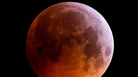 Super blood wolf moon eclipse: Remarkable photos of the phenomenon