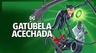 Gatúbela Acechada, la nueva película animada de DC - Reporte Indigo
