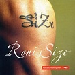 roni size - touching down (2002) | Infunkcia Studio