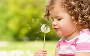 The child blows on a dandelion wallpapers and images - wallpapers ...