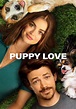 Puppy Love filme - Veja onde assistir online