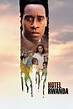 Hotel Rwanda (2004) — The Movie Database (TMDb)