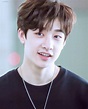 Stray Kids' Bang Chan Has His Over-Dramatic Monologue Captured ...