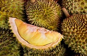 Thai durian: the tree, the fruit, and the desserts - Localise Asia