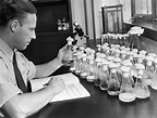 How penicillin was discovered, and how WWII let this miracle drug reach ...