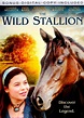 The Wild Stallion [DVD] [2009] - Best Buy