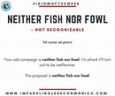 Neither fish nor fowl | Impara l'Inglese con Monica >> IL VLOG
