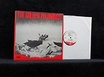 - Golden Palominos (USA 1st pressing vinyl LP) - Amazon.com Music