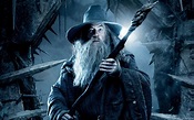 Gandalf in The Hobbit 2 wallpaper | movies and tv series | Wallpaper Better
