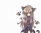 Anime Cat People Wallpapers - Wallpaper Cave