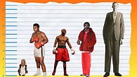 How Tall Is Muhammad Ali? - Height Comparison! - YouTube