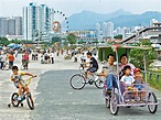 大圍單車公園｜80、90後港人童年集體回憶 - ELLEMEN HONGKONG