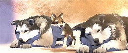 The Best White Fang Characters Ideas