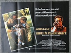 Hide in Plain Sight (1980)