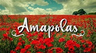 Leo Rizzi - Amapolas (Letra//Lyrics) {Acústico} - YouTube