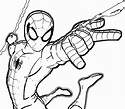Dibujos De Spiderman Para Colorear - Nuestra Inspiración