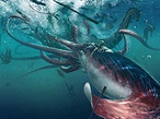 The giant squid: Origin of the mythical monster Kraken -- Secret ...