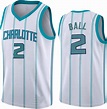 Charlotte Hornets New Season Jersey, 2 playeras de baloncesto para ...