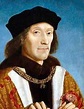 Enrique VII de Inglaterra Gobierno y Economia del Reinado