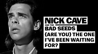 Nick Cave & The Bad Seeds - (Are You) The One That I've Been Waiting ...