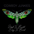 Hard to Build. Easy to Break. - song and lyrics by Cowboy Junkies | Spotify