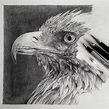 Simply Creative: Hyper-Realistic Graphite Drawings By Monica Lee