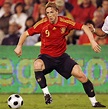FC Barcelona Sport: Fernando Torres World Cup 2010 Gallery