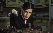 Crispin Glover Returns to Horror With 'We Have Always Lived in the ...
