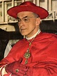 Cardinal Josef Frings, archbishop of Cologne | Cardinals | Pinterest | Cologne and Cardinals