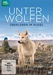 Unter Wölfen - Überleben im Rudel - Dokumentarfilm 2016 - FILMSTARTS.de