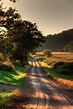 Country Road on Summer Dusk | Country landscaping, Summer nature ...