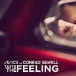 Taste The Feeling - Song Lyrics and Music by Avicii, Conrad Sewell ...