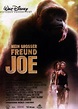 Mein großer Freund Joe: DVD oder Blu-ray leihen - VIDEOBUSTER.de