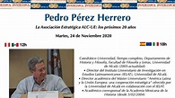Entrevista a Pedro Pérez Herrero - YouTube