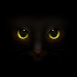 O Gato Preto, de Edgard Allan Poe | Um Poe por Mês
